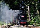 2020.08.27 JHMD U46.101 Jindřichův Hradec - Kamenice nad Lipou (4)